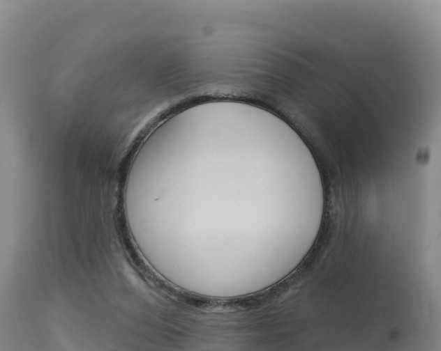 X0000115670208200911121014
