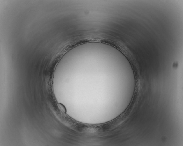 X0000115670209200911121014
