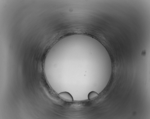 X0000115670213200911121014