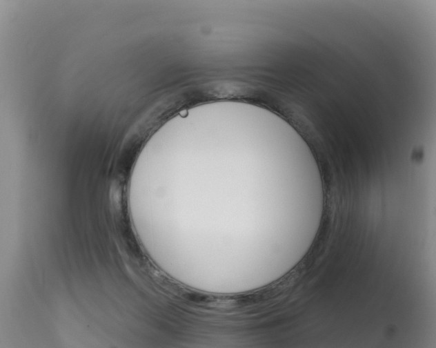 X0000115670214200911121014