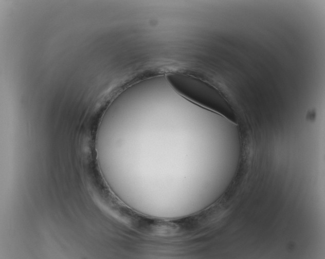 X0000115670215200911121014