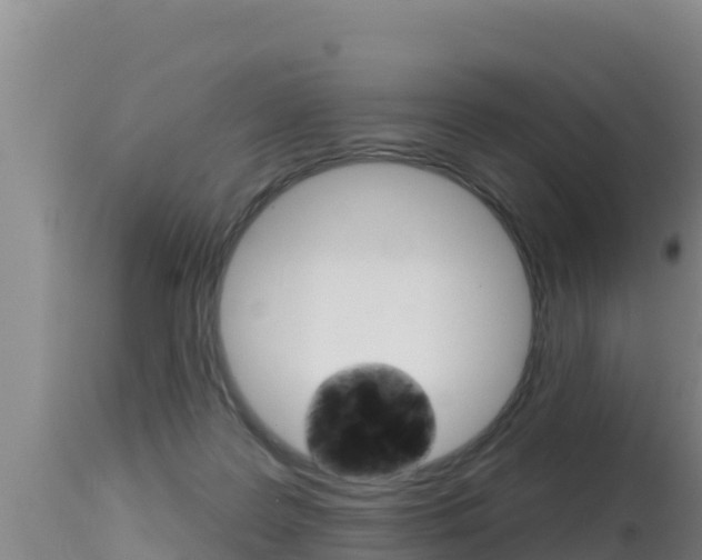 X0000115670219200911121014