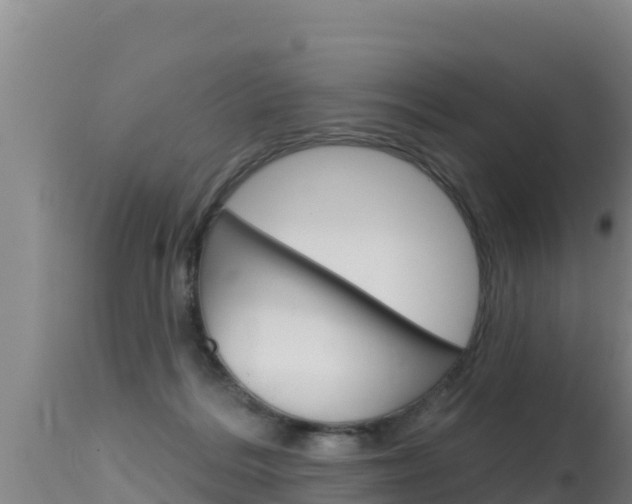 X0000115670220200911121014