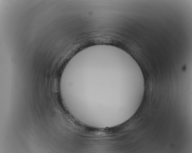 X0000115670224200911121014