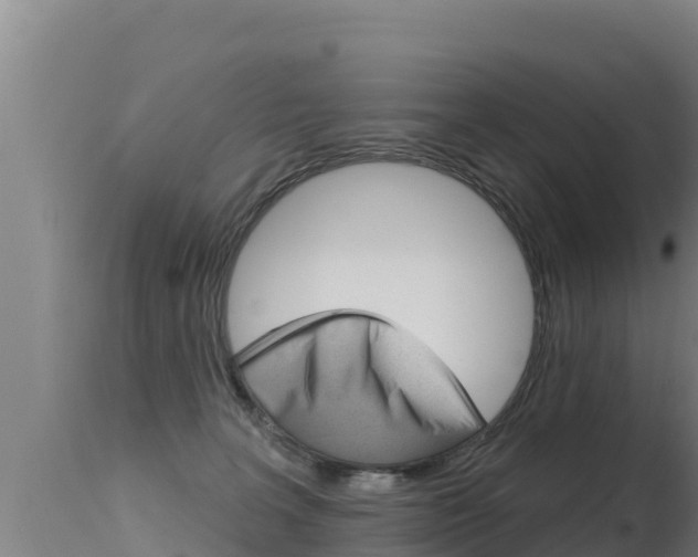 X0000115670227200911121014