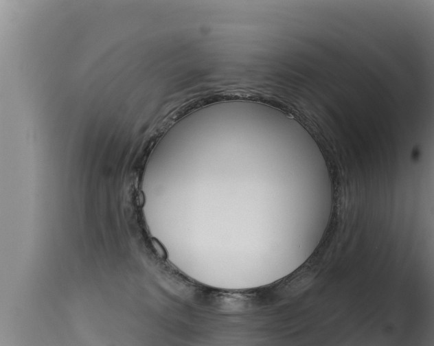 X0000115670229200911121014
