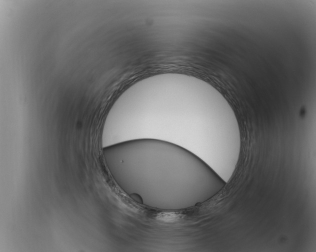 X0000115670231200911121014