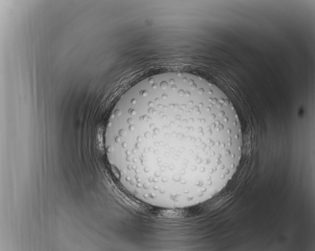 X0000115670238200911121013