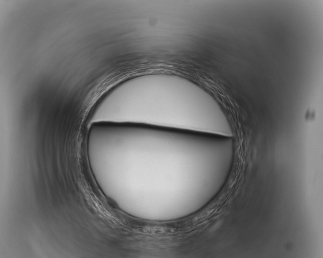 X0000115670242200911121013