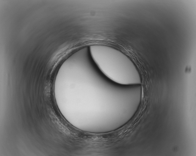 X0000115670243200911121013