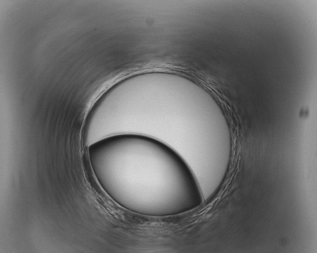 X0000115670244200911121013