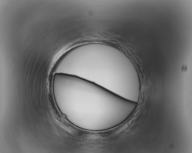 X0000115670246200911121013