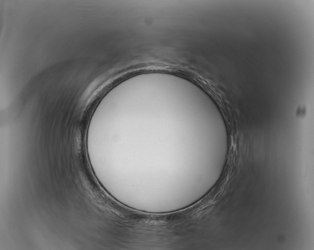 X0000115670247200911121013