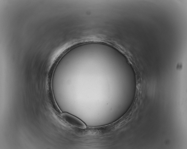 X0000115670248200911121013