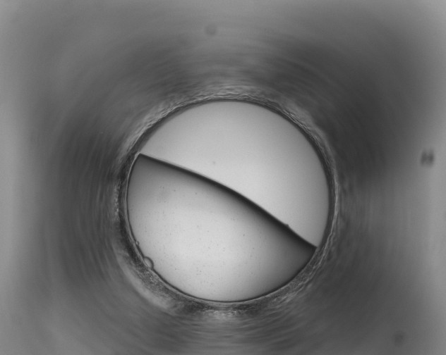 X0000115670250200911121013