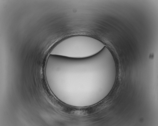X0000115670251200911121013