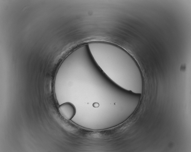 X0000115670253200911121013