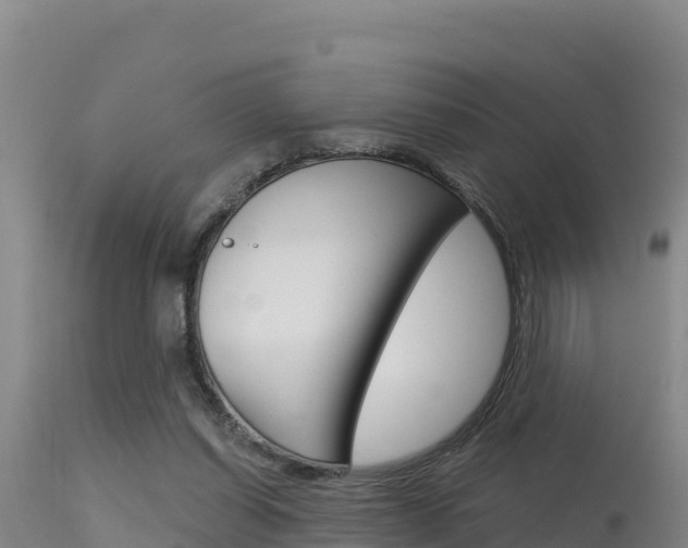 X0000115670254200911121013