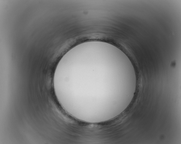 X0000115670261200911121013