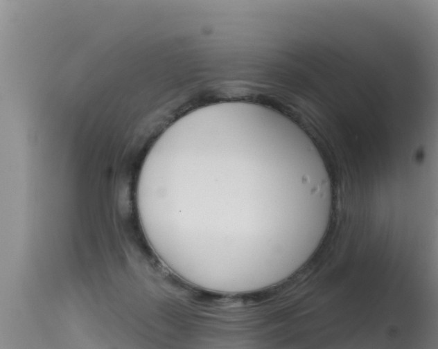 X0000115670267200911121013