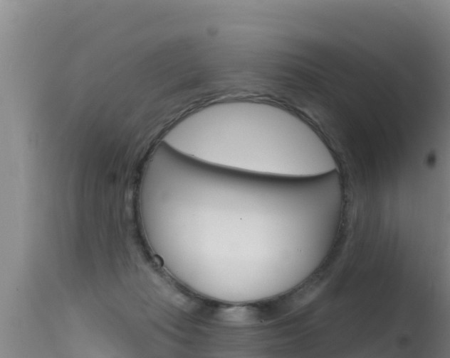 X0000115670269200911121013