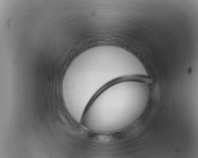 X0000115670272200911121013