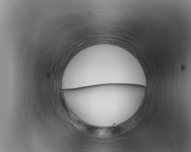 X0000115670275200911121013