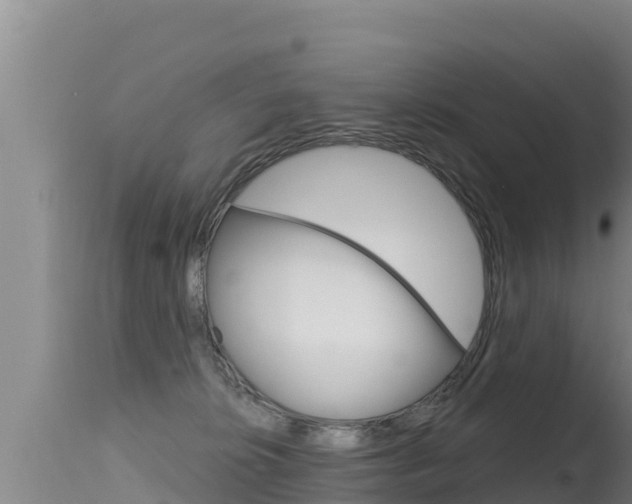 X0000115670276200911121013