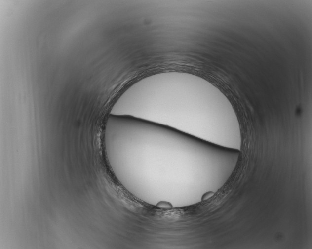 X0000115670282200911121013