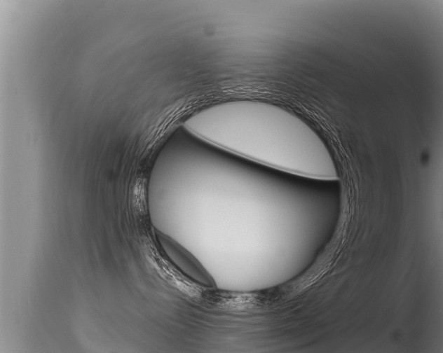 X0000115670288200911121013