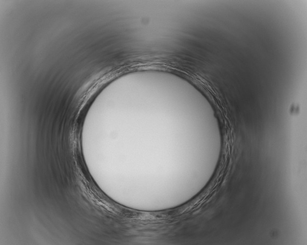 X0000115670290200911121013
