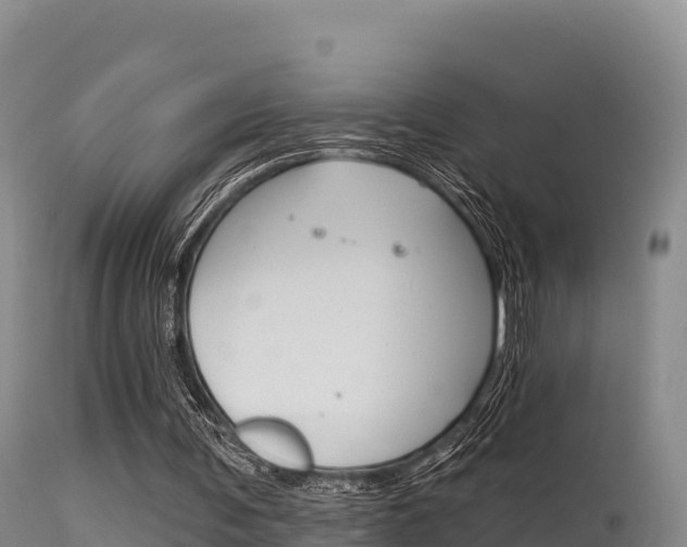 X0000115670291200911121013