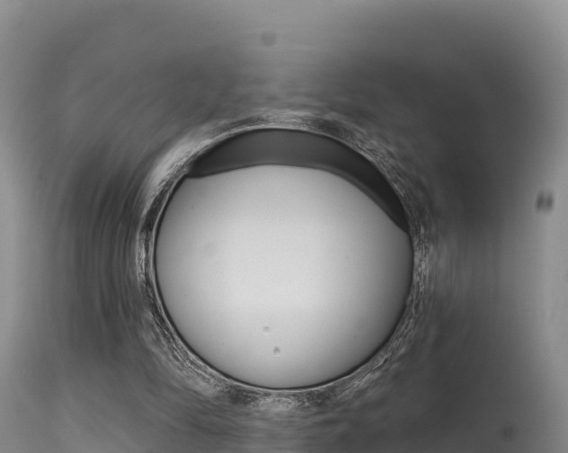 X0000115670294200911121012