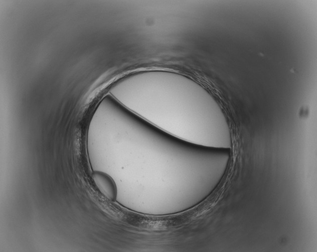 X0000115670295200911121012