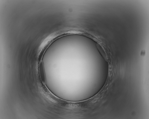 X0000115670296200911121012