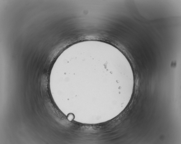X0000115670297200911121012