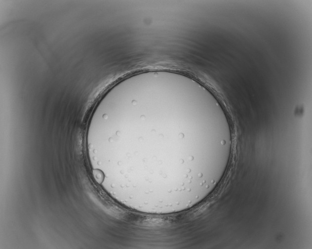 X0000115670298200911121012