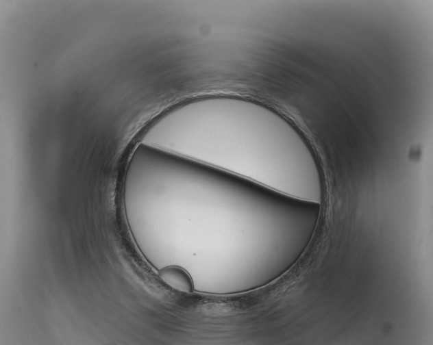 X0000115670299200911121012