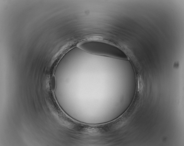 X0000115670300200911121012