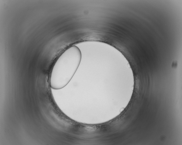 X0000115670302200911121012
