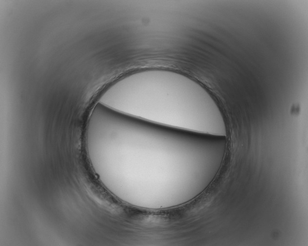 X0000115670303200911121012