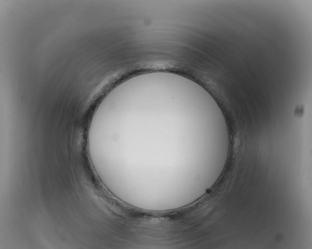 X0000115670304200911121012