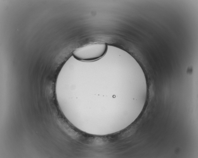 X0000115670305200911121012