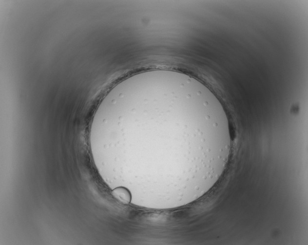 X0000115670306200911121012