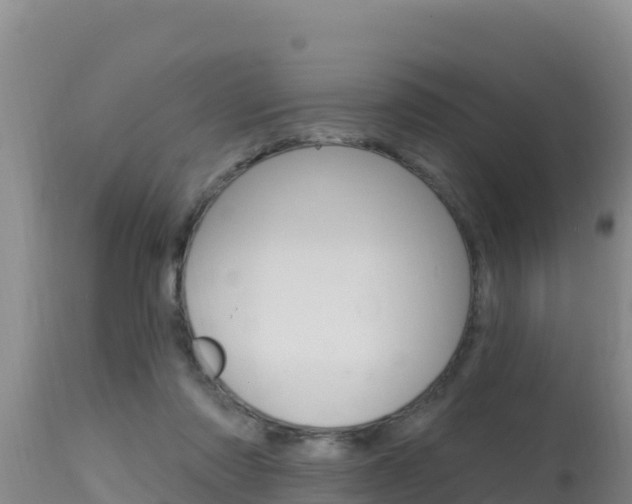 X0000115670310200911121012