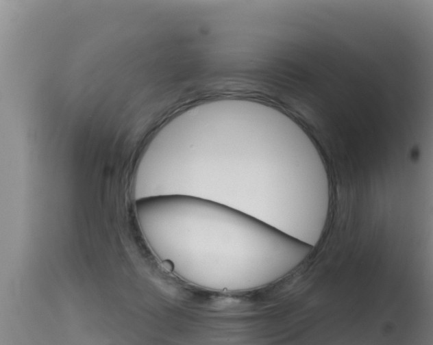 X0000115670315200911121012