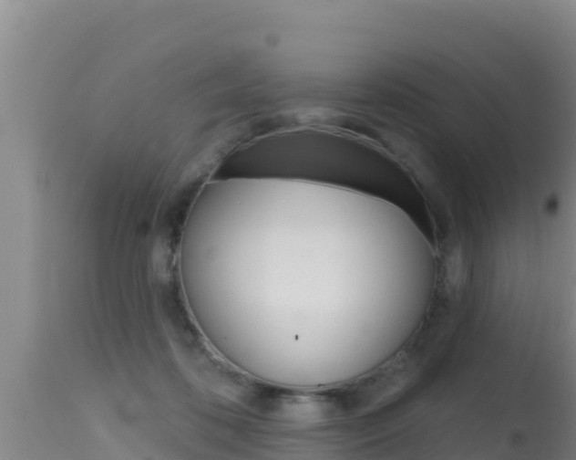 X0000115670316200911121012