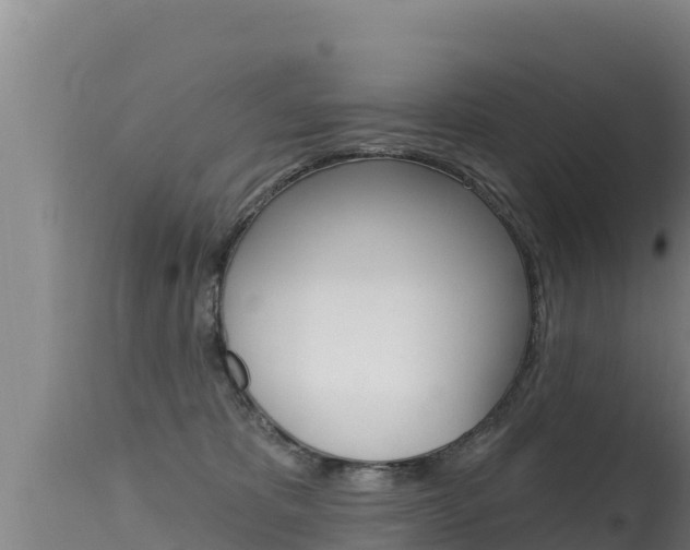 X0000115670325200911121012