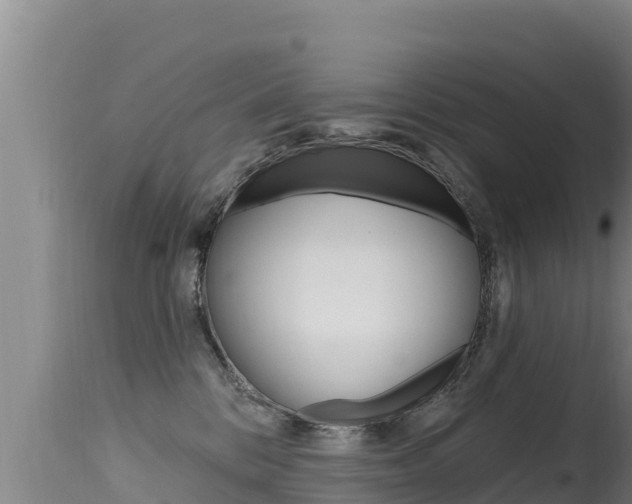 X0000115670328200911121012