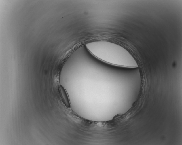 X0000115670329200911121012